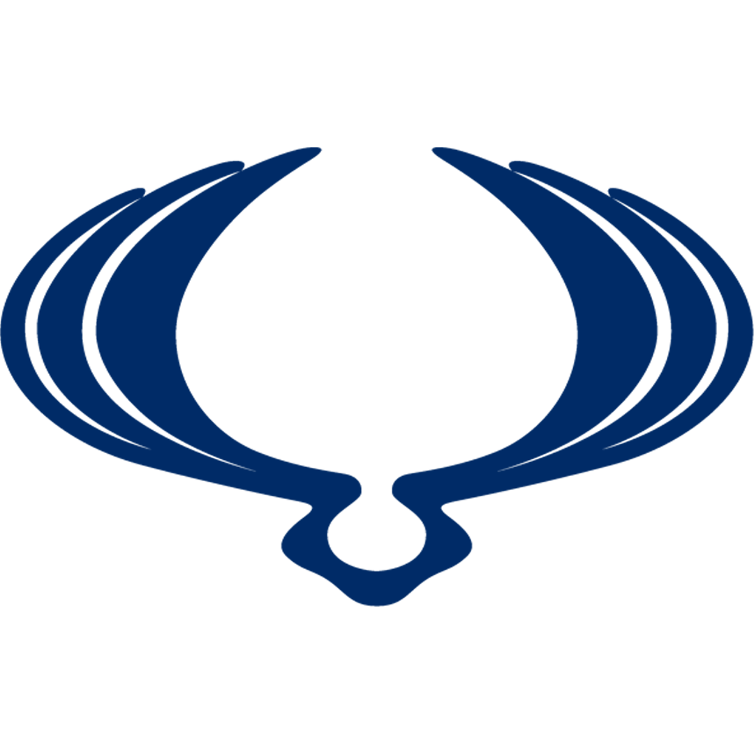 سانگ یانگ